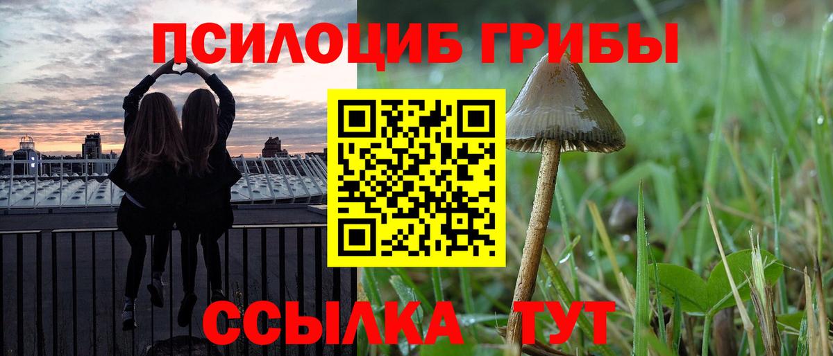 Галлюциногенные грибы мицелий  Псилоцибиновые грибы мицелий  Вход с VPN  Советский 